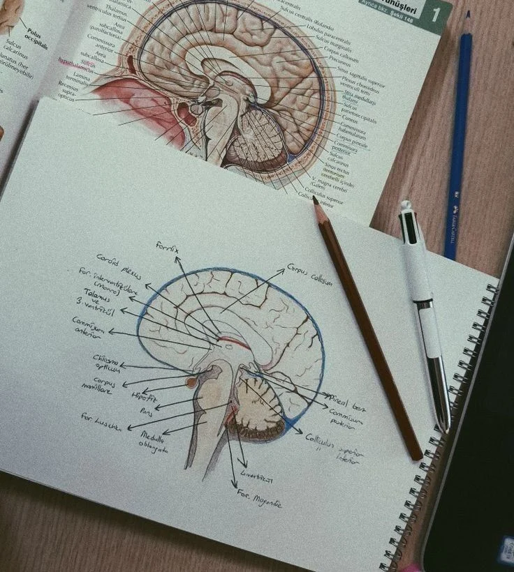 Master of Clinical Psychology in Iran