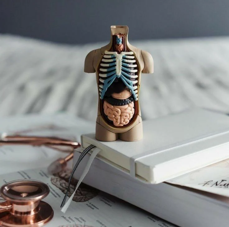 Bachelor of Medicine and Bachelor of Surgery - MBBS in Iran 