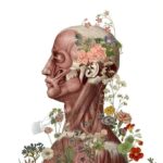 Master of Anatomical Sciences in Iran 2024_2025