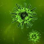Master of Medical Immunology in Iran 2024_2025
