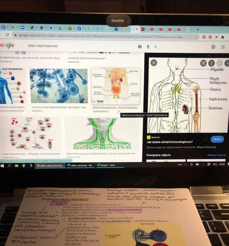 Master of Medical Immunology in Iran
