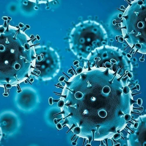 Master of Medical Virology in Iran