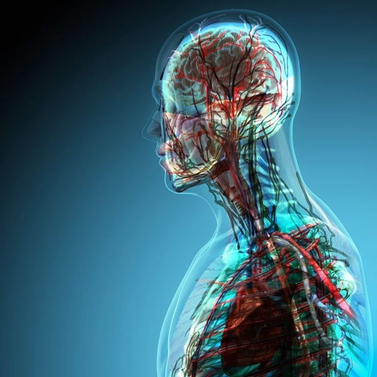 Master of Physiology in Iran