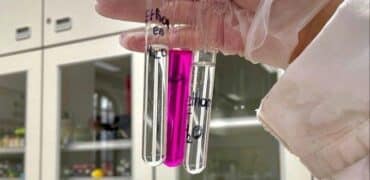 الدكتوراه البحثية في علم السموم في ايران