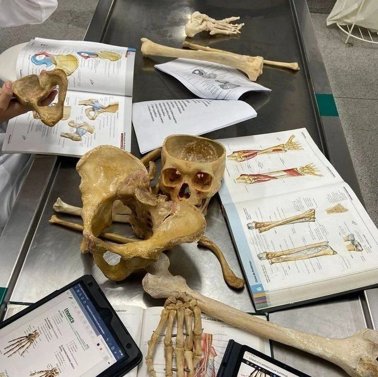 الدكتوراه البحثية في علم وظائف الأعضاء في ايران 2026_2027 1 الدكتوراه البحثية في علم وظائف الأعضاء في ايران