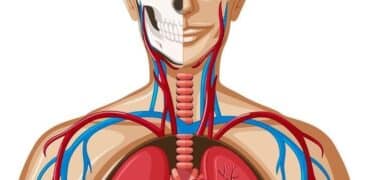 ماجستير علم وظائف الأعضاء في ايران