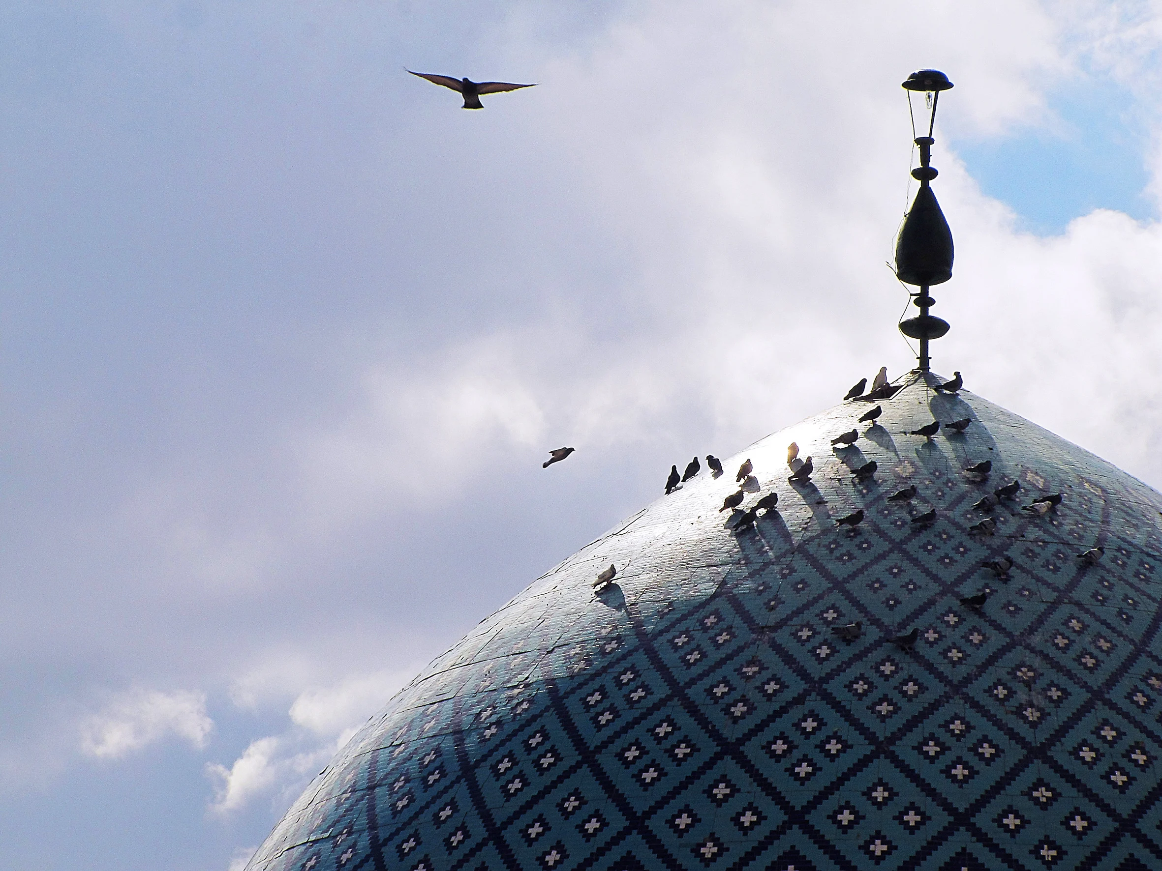 جامعة شهيد صدوقي يزد للعلوم الطبية